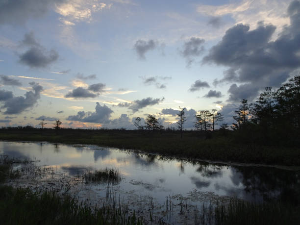 istock Reflection of vibrant sunset in a swamp 861698744