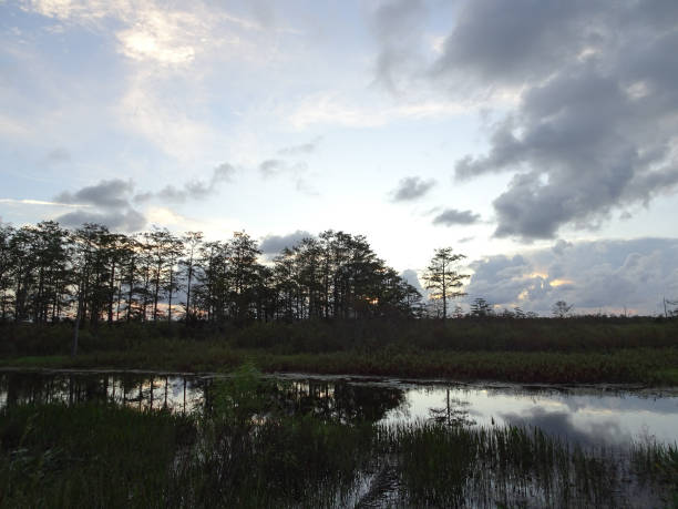 istock Reflection of vibrant sunset in a swamp 861701808