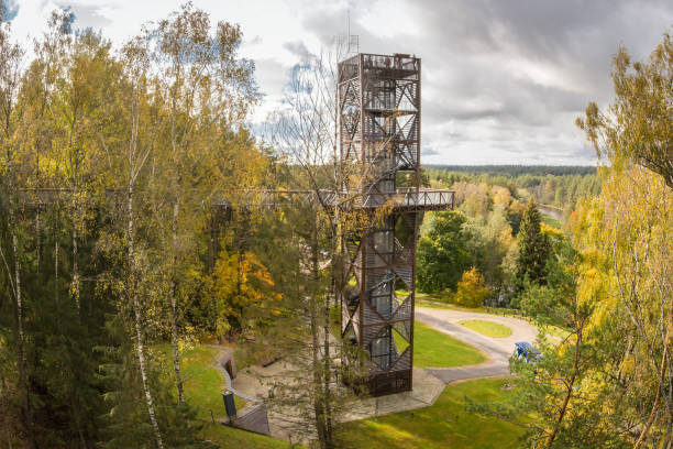 istock ANYKSCIAI, LITHUANIA - oktober, 2017: LAJU TAKAS Treetop Walkway 861705792