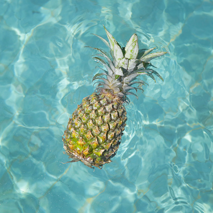 Pineapple floating in water - summer holidays, vacation and food concept