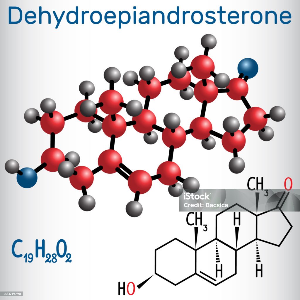 Prasterone Structure Dehydroepiandrosterone Dhea Structural Chemical Formula And Molecule ...