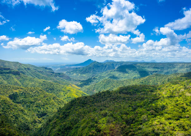 istock Black River Gorges National park 861721854