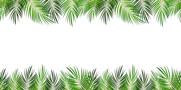 12,590 Cartoon Of The Palm Tree Leaves Stock Photos, Pictures &  Royalty-Free Images - iStock