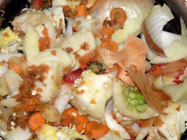 istock Kitchen waste prepared for composting in organic garden 861724762