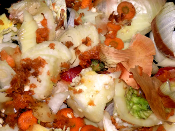 istock Kitchen waste prepared for composting in organic garden 861724768