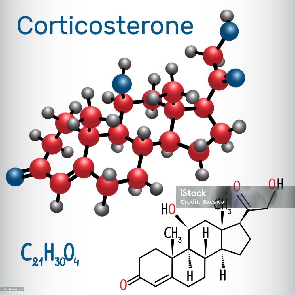 Cortexi Formula Corticosterone Structural Chemical Formula And Molecule Model Stock ...