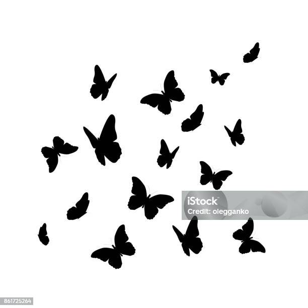 Beautifil Papillon Silhouette Isolée On White Background Vect Vecteurs libres de droits et plus d'images vectorielles de Papillon