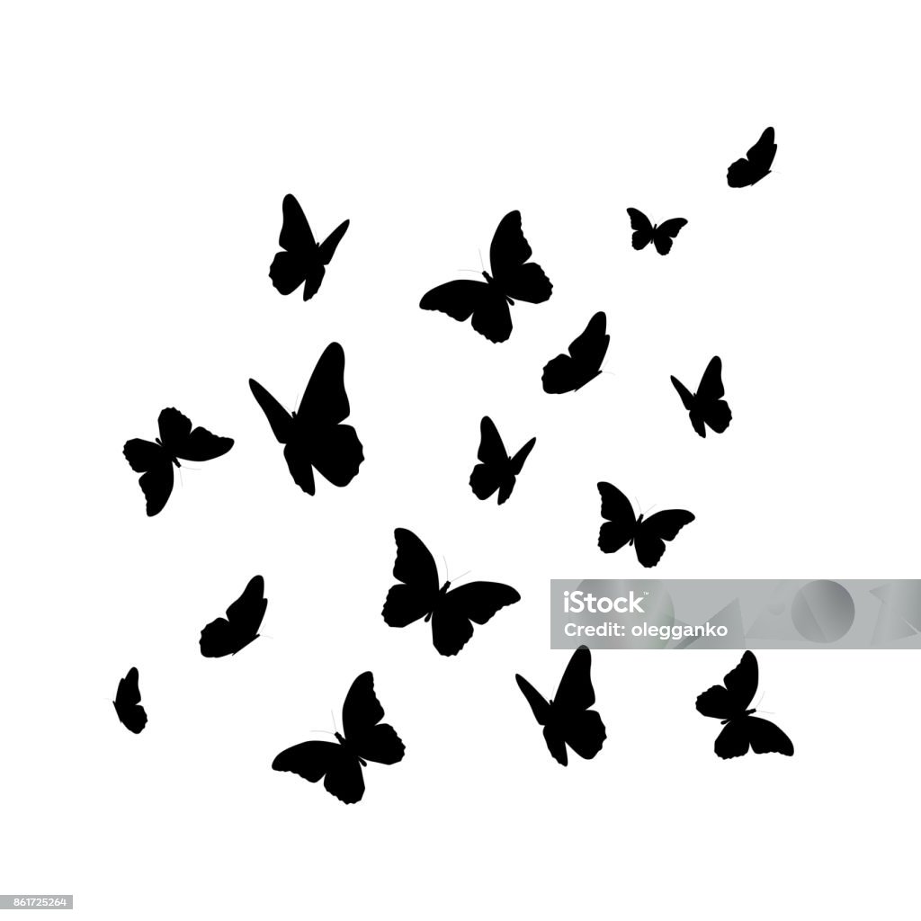 Beautifil Butterfly Silhouette Isolated on White Background Vect Beautifil Butterfly Silhouette Isolated on White Background Vector Illustration EPS10 Butterfly - Insect stock vector