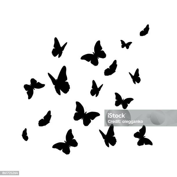 Beautifil Butterfly Silhouette Isolated On White Background Vect Stock Illustration - Download Image Now