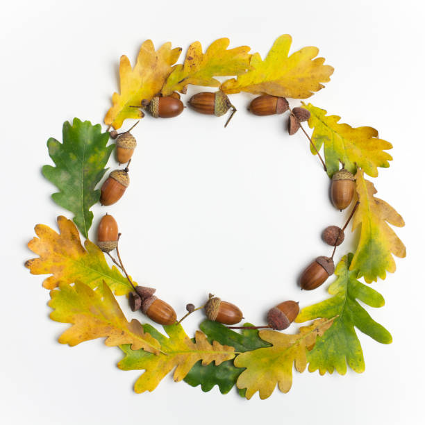 Autumn composition. Frame made of autumn leaves and pine cones on white background. Flat lay, top view