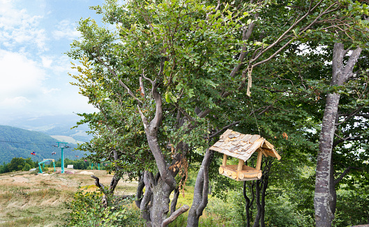 At the top of the mountain in the branches of a tree hangs a wooden bird feeder close-up against the backdrop of a mountain landscape