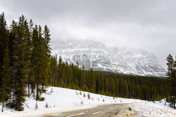 istock Winter Mountain Landscape on a Overcast Day 861736094