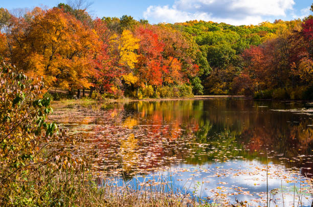 istock Fall Colors around a Pond and Reflection in Water 861739564