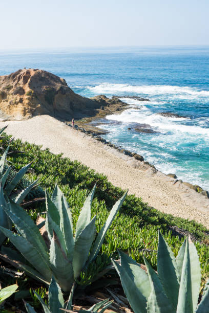 istock Beautiful Laguna Beach, Southern California 861762004