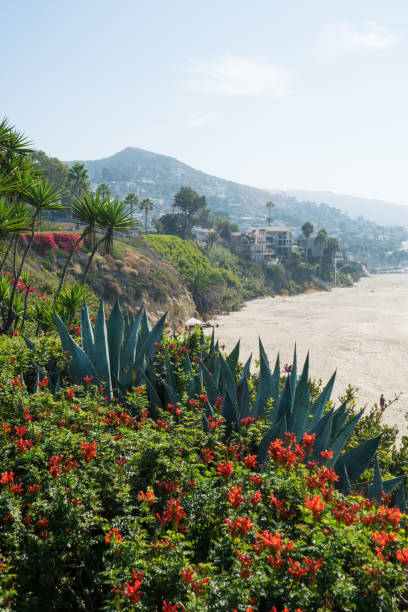istock Beautiful Laguna Beach, Southern California 861762076