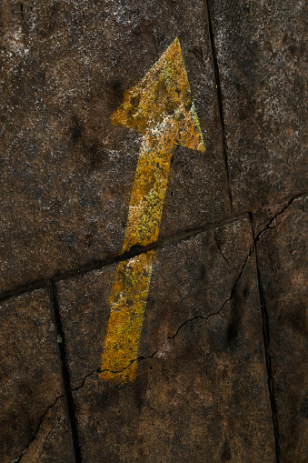 Yellow arrow painted onto a path showing the direction