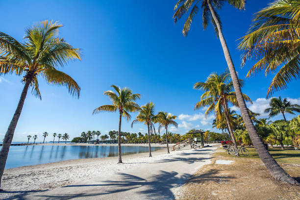 istock The Round Beach at Matheson Hammock County Park Miami Florida 861762974