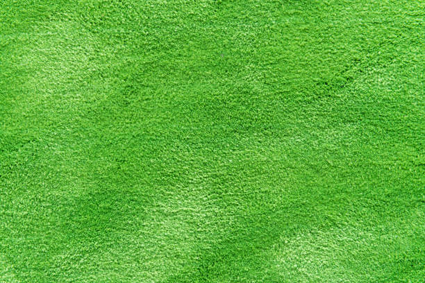 Natural grass texture patterned background in golf course turf from top view: Abstract background of authentic grassy lawn environmental textured pattern backdrop in bright yellow green color tone Natural grass texture patterned background in golf course turf from top view: Abstract background of authentic grassy lawn environmental textured pattern backdrop in bright yellow green color tone georgia football stock pictures, royalty-free photos & images