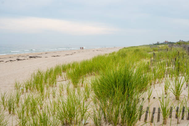 The Hamptons, New York Coopers Beach in Southhampton, New York during summertime. the hamptons photos stock pictures, royalty-free photos & images
