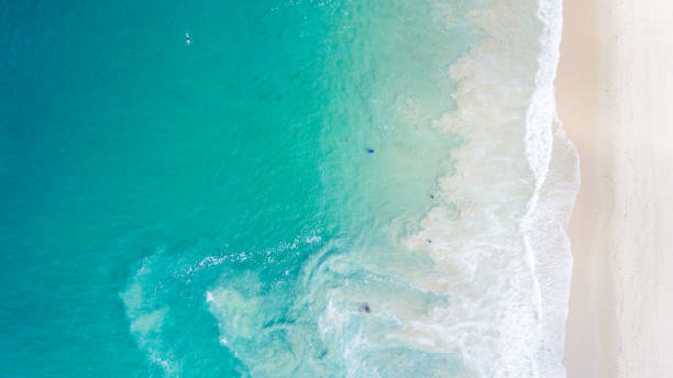 istock Aerial View of Crystal Cove State Beach 861779738