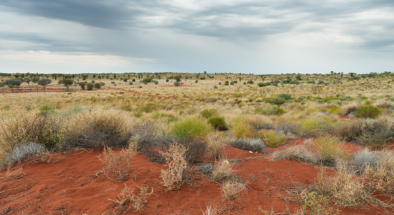 Australian Outback  Red Desert  Landscape