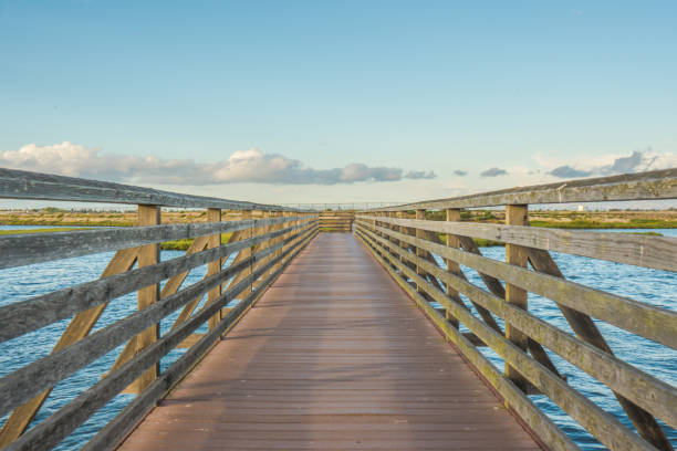 istock Bolsa Chica Wetlands, Huntington Beach 861782978