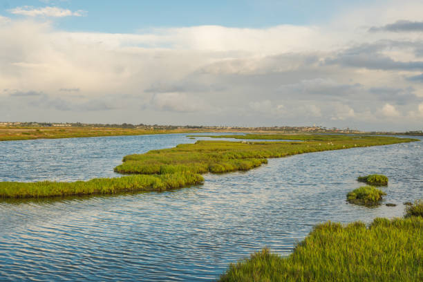 istock Bolsa Chica Wetlands, Huntington Beach 861782994
