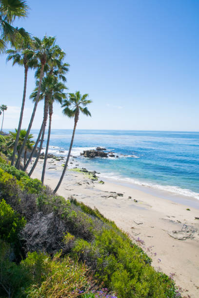 istock Beautiful Heisler Park, Laguna Beach, California 861785888