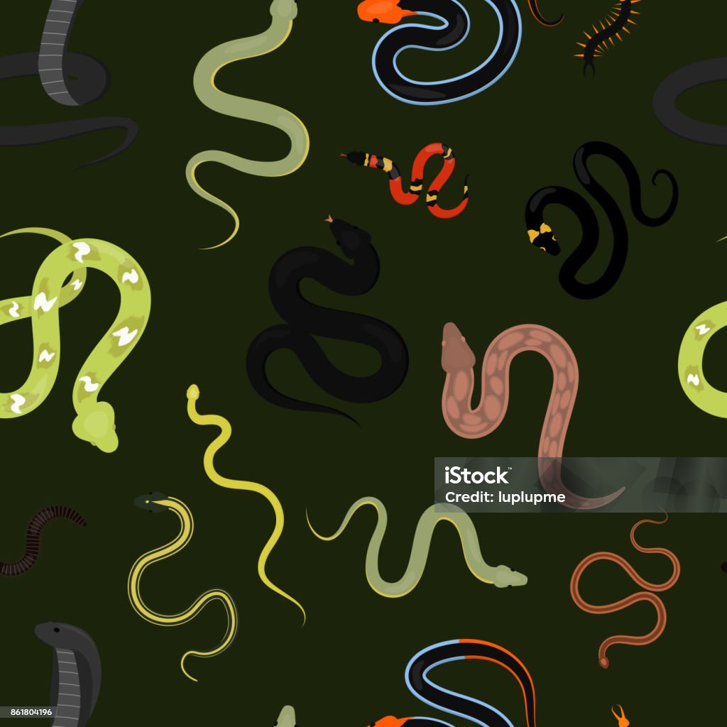 Different snake reptile animals cartoon vector seamless pattern background Different snake reptile animals cartoon vector set. Flat python symbol venom predator toxic animal. Cartoon danger tongue poisonous. Common reptile vector set seamless pattern background . Fang stock vector