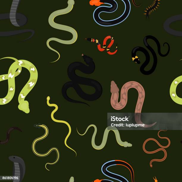 Different Snake Reptile Animals Cartoon Vector Seamless Pattern Background Stock Illustration - Download Image Now