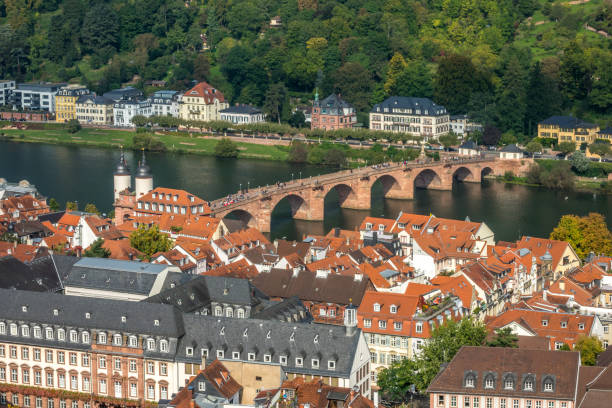 istock Bird's-eye view of Heidelberg 861804864