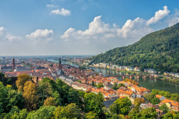 istock Bird's-eye view of Heidelberg 861805400