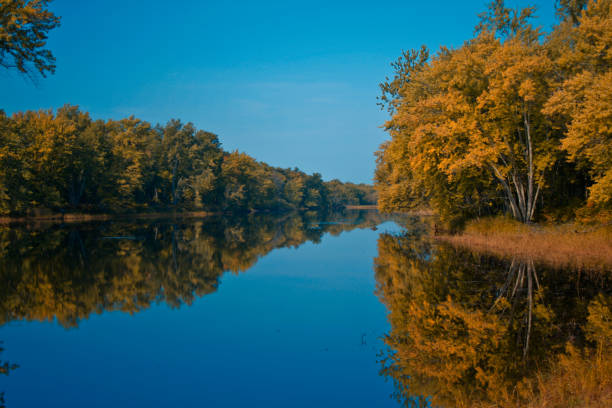 herbstfarben auf st. croix river - wäldchen stock-fotos und bilder