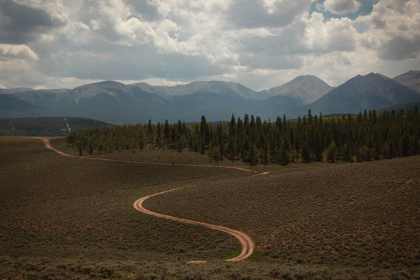Double track road A double track road in Leadville Colorado, part of the famous mountain bike race course. leadville stock pictures, royalty-free photos & images