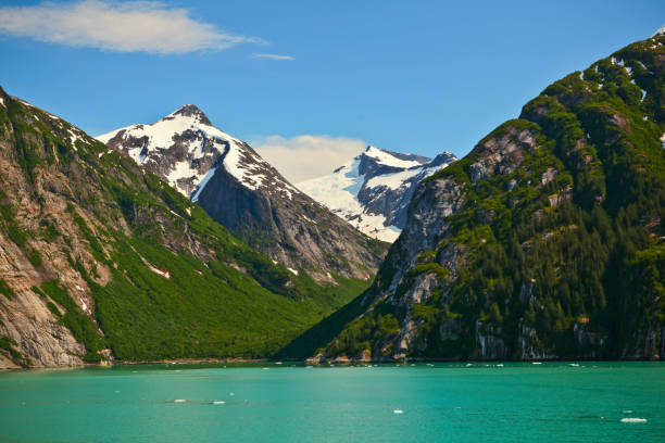 istock Glacial Blue-Green Inlet 861805522