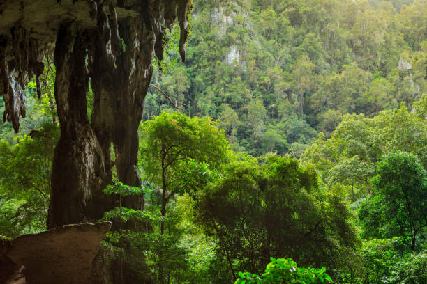 istock Cave entrance and forest in Niah national park 861811146
