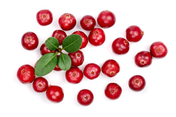 istock Cranberry with leaf isolated on white background closeup top view 861818132
