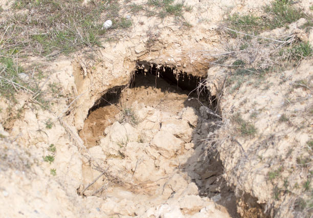 istock hole on the nature of the beast 861823992
