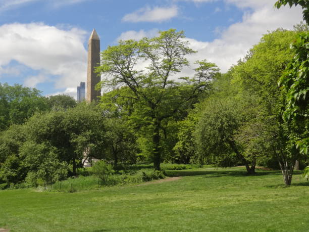 istock The obelisk of Central Park 861827822
