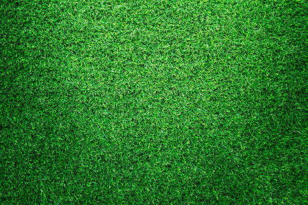 istock Artificial green grass texture for golf course. soccer field or sports background concept design. 861833894
