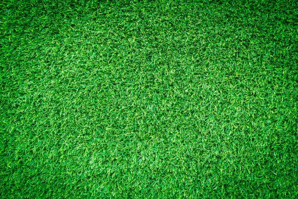 istock Artificial green grass texture for golf course. soccer field or sports background concept design. 861833900