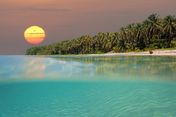 sunset on tropical beach island - bocas del toro imagens e fotografias de stock