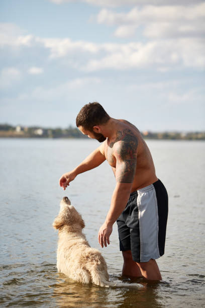istock Happy labrador enjoy playing on beach with owner. 861836842