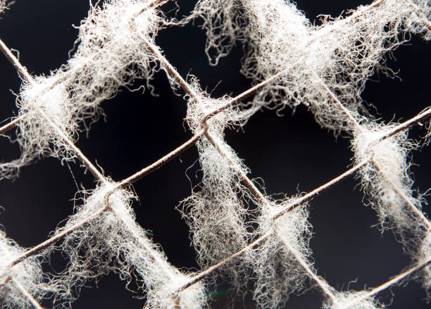 istock background of old rusty metal mesh 861838300