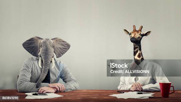An Elephant And A Giraffe Dressed Stock Photo - Download Image Now - Elephant, Office, Giraffe