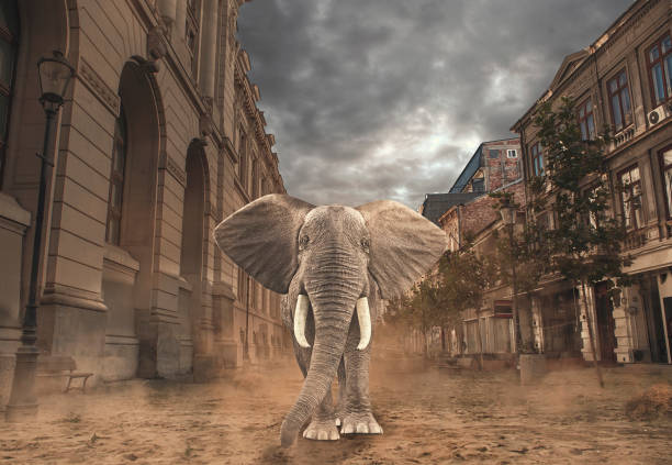 istock Elephant brings nature to the city. 861841610