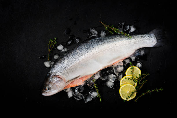 istock Fresh raw salmon red fish with ice on a dark background. Flat lay. Top view 861850696