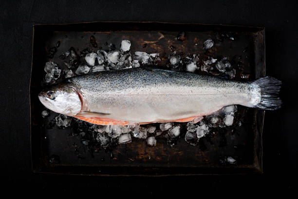 istock Fresh raw salmon red fish with ice on a dark background. Flat lay. Top view 861850698