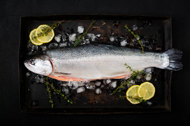 istock Fresh raw salmon red fish with ice on a dark background. Flat lay. Top view 861850700