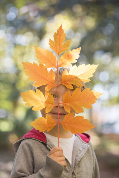 istock Happy boy holding autumn leaves 861850958